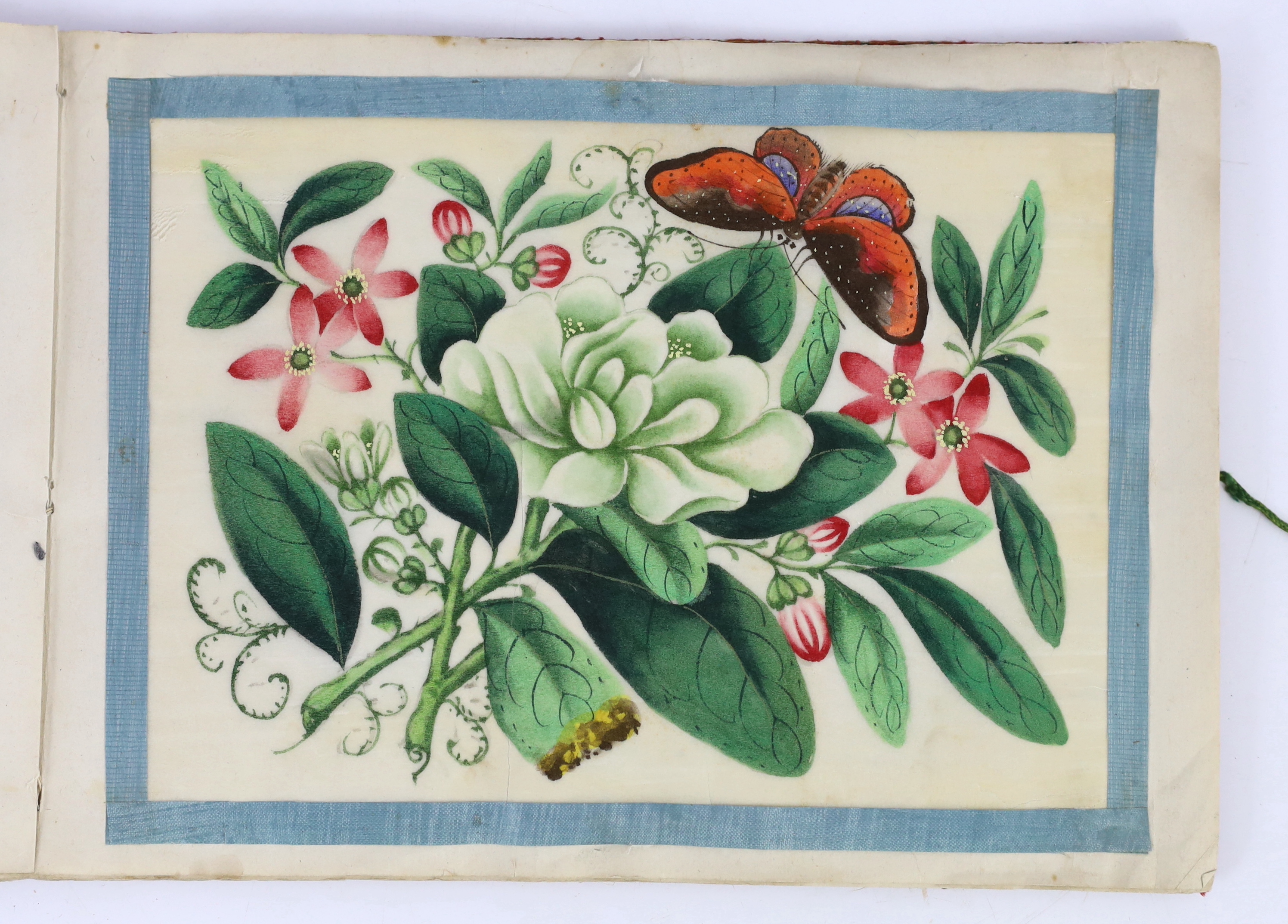 A Chinese album of twelve pith paintings of flowers and insects, 19th century